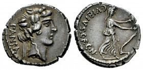 Vibius. C. Vibius C.f.C.n. Pansa. Denarius. 48 BC. Rome. (Ffc-1216). (Craw-440/2). (Cal-1369). Anv.: PANSA behind head of young Bacchus right, wearing...