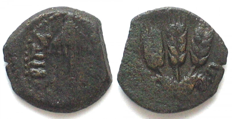 JUDAEA. Herod Agrippa I, AE Prutah, AD 41-42, XF
AE Dichalkon (Prutah), Y 6 = A...