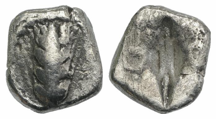 Southern Lucania, Metapontion, c. 470-440 BC. AR Diobol (7mm, 0.93g, 12h). Barle...