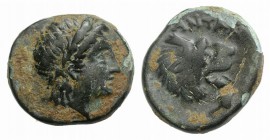Troas, Antandros, c. 4th-3rd centuries BC. Æ (15mm, 3.08g, 6h). Laureate head of Apollo r. R/ Head of a roaring lion r.; ivy-leaf below. SNG Copenhage...
