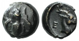 Ionia, Ephesos, c. 405-390 BC. Æ (6.5mm, 0.66g, 12h). Bee. R/ Head of stag r. SNG Kayhan 147-88; SNG München 34. Dark patina, Good VF