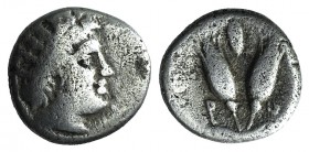 Islands of Caria, Rhodes, c. 229-205 BC. AR Diobol (8mm, 0.75g, 12h). Radiate head of Helios r. R/ Two rose buds; shield above. Ashton 233; HGC 6, 145...