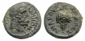 Lydia, Sala. Pseudo-autonomous issue. Time of Caracalla (98-217). Æ (14mm, 2.93g, 12h). Alexandros, magistrate. Laureate head of Herakles r. R/ Grape ...