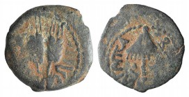 Agrippa I (37-43 CE). Judaea, Herodian Kings. Æ Prutah (16mm, 2.60g, 12h). Year 6 (41/2). Umbrella-like canopy. R/ Three grain ears; date across field...