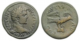 Caracalla (198-217). Troas, Alexandria. Æ (25mm, 8.13g, 12h). Laureate head r. R/ Eagle standing r., wings spread, holding forepart of bull in talons ...