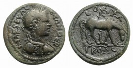 Severus Alexander (222-235). Troas, Alexandria. Æ (24mm, 7.07g, 7h). Laureate, draped and cuirassed bust r. R/ Horse grazing r.; tree on background. R...
