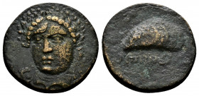 (Bronze.3.31g 18mm) AEOLIS, Gryneion. 4th century BC. 
Laureate head of Apollo facing slightly left / Mussel shell. 
SNG Arikantürk 392–7