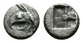 (Silver, 0.21gr 6mm) IONIA, Phokaia. Circa 521-478 BC. AR Tetartemorion 
Head of griffin left 
Rev. Incuse punch. 
SNG Kayhan 514–6