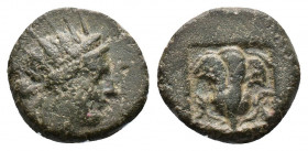 (Bronze.2.06g 13mm) Caria. Rhodos 188-84 BC. AE
Radiate head of Helios right
Rev. rose with bud to left and right; all within incuse square.
