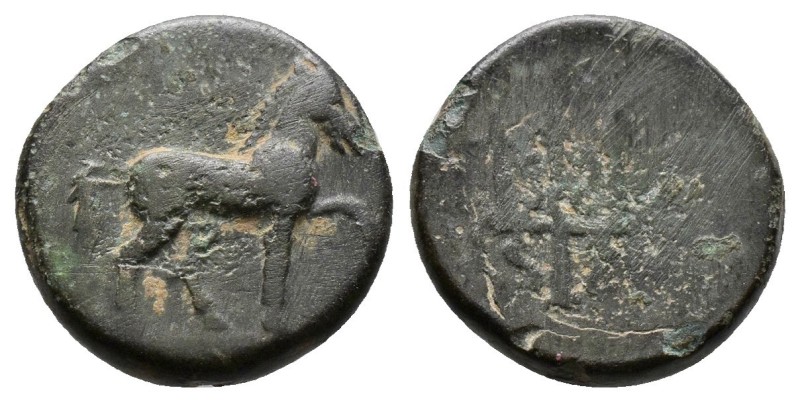 (Bronze.1.39g 13mm) CARIA. Mylasa. Ae (3rd-2nd centuries BC).
Horse prancing ri...