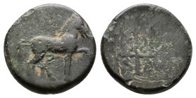 (Bronze.1.39g 13mm) CARIA. Mylasa. Ae (3rd-2nd centuries BC).
Horse prancing right.
Rev: Decorated trident.
SNG von Aulock 2619; SNG Keckman 226.