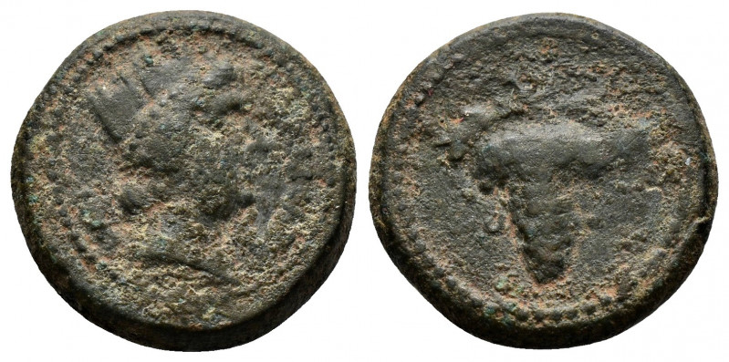 (Bronze, 3.77gr 17mm) Lydia. Daldis . Pseudo-autonomous issue AD 193-211 AE. 
Tu...