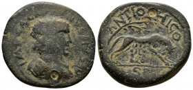 (Bronze, 15.31gr 30mm) PISIDIA Antioch. Gallienus (253-268). AE.
 Laureate, draped and cuirassed bust right.
Rev: Lupa Romana right, head left, suckli...