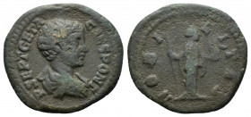 (Bronze.2.73g 20mm) Geta AD 198-211 AE Limes Denarius 
Draped bust / Nobilitas standing with sceptre and palladium. 
RIC.13a cf.