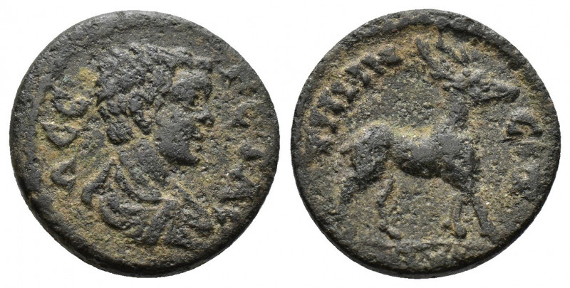 (Bronze. 2.69g 17mm) Aeolis.Temnos. Geta. As Caesar, AD 198-209
Draped and cuira...