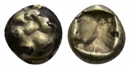 (Electrum.0.51g 7mm) Ionia; 7th-6th cent. BC. Fourrée EL 1/24 Stater
 Flower/ Incuse square
 Cf. SNG Aulock-7786