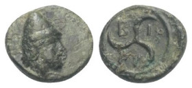 Troas. Birytis.

 Bronze. Ca. 350 - 300 v. Chr.
Vs: Kopf eines bärtigen Kabiren mit Pilos links.
Rs: Keule in Lorbeerkranz.

10 mm. 0,82 g. 

...
