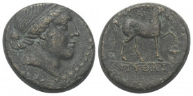 Aiolis. Kyme.

 Bronze. Ca. 250 - 190 v. Chr.
Vs: Kopf der Amazone Kyme rechts.
Rs: Pferd nach rechts trabend, Kotyle zwischen Vorderbeinen; im Ab...
