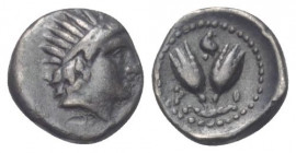 Inseln vor Karien. Rhodos.

 Diobol (Silber). Ca. 275 - 250 v. Chr.
Vs: Kopf des Helios mit Strahlenkrone rechts.
Rs: P - O. Zwei Rosenknospen; da...