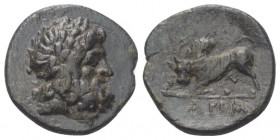 Pisidien. Ariassos.

 Bronze. Um 100 v. Chr.
Vs: Kopf des Zeus mit Lorbeerkranz rechts.
Rs: Stier nach links angreifend.

17 mm. 3,05 g. 

SNG...