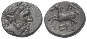 Pisidien. Termessos.

 Bronze. 72 / 71 v. Chr. (Jahr 1).
Vs: Kopf des Zeus mit Lorbeerkranz rechts.
Rs: Pferd nach links galoppierend; im Feld rec...