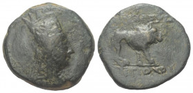 Königreich Kommagene. Antiochos I. Theos (69 - 34 v. Chr.).

 Bronze.
Vs: Drapierte Büste des Tigranes mit Tiara rechts.
Rs: Löwe nach rechts steh...