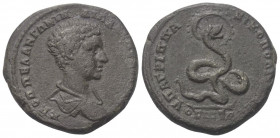 Moesia Inferior. Nikopolis. Diadumenianus (218 n. Chr.).

 Bronze.
Vs: Drapierte Büste rechts.
Rs: Schlange mit Nimbus in mehreren Windungen nach ...