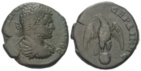 Thrakien. Serdika. Caracalla (197 - 217 n. Chr.).

Bronze.
Vs: Büste mit Lorbeerkranz, Panzer und Paludament rechts.
Rs: Adler mit gespreizten Flü...
