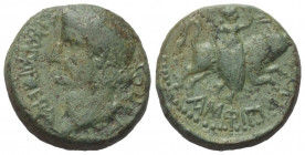 Makedonien. Amphipolis. Tiberius (14 - 37 n. Chr.).

 Bronze.
Vs: Kopf mit Lorbeerkranz links.
Rs: Artemis Tauropolos auf Stier nach rechts reiten...