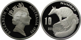 10 Dollars 1995 
Weltmünzen und Medaillen, Australien / Australia. Numbat. 10 Dollars 1995. 20,77 g. 0.999 Silber. 0.67 OZ. KM 296. Polierte Platte
