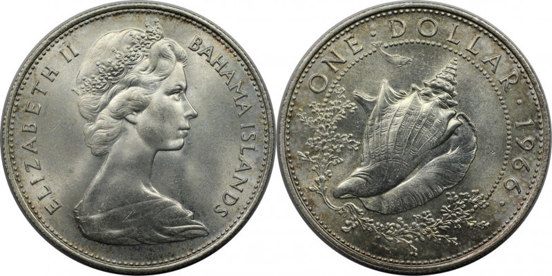 1 Dollar 1966 
Weltmünzen und Medaillen, Bahamas. Muschel. 1 Dollar 1966. 18,14...