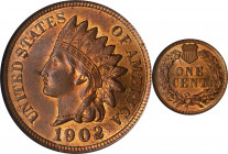 1902 Indian Cent. MS-64 RB (ANACS). OH.
PCGS# 2212. NGC ID: 228X.
Estimate: $0.00- $0.00