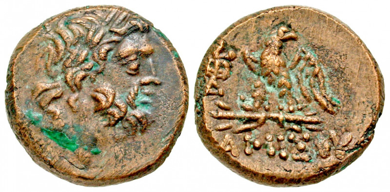 "Pontic Kingdom, Amisos. Under Mithradates VI, Eupator. 120-63 B.C. AE 21 (21 mm...