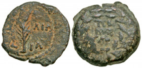 "Judaea, Procurators. Valerius Gratus. 15-26 C.E. AE prutah (16 mm, 2.07 g, 12 h). Jerusalem (or Caesaria?), under Tiberius, struck RY 11 = 24 C.E. TI...