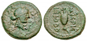 "Mysia, Parium. Julius Caesar. AE 16 (15.64 mm, 3.17 g, 11 h). Struck ca. 45 B.C. C - G / P - I, diademed female head right / MVC PIC / IIII I D D D, ...