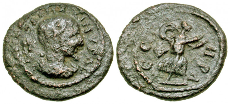 "Mysia, Parium. Maximus. Caesar, A.D. 235-238. AE 19 (18.93 mm, 2.70 g, 7 h). [I...