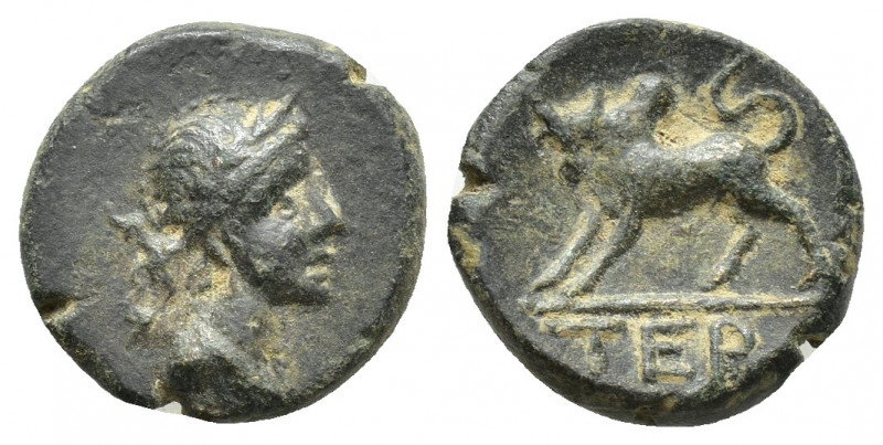Pisidia. Termessos Major circa 100-30 BC. Bronze Æ (14mm., 2,4g). Draped and lau...