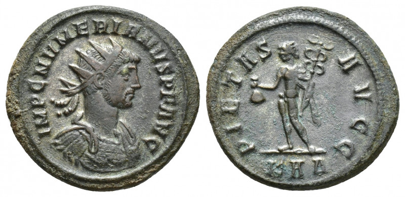 Numerian Æ Antoninianus. Rome, AD 283. (21mm, 4.3 g) IMP NVMERIANVS AVG, radiate...