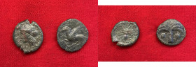Lotto di due monete greche