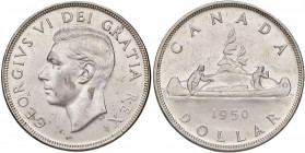 CANADA Giorgio VI (1936-1952) Dollaro 1950 - KM 46 AG (g 23,35)