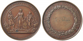 SVIZZERA Medaglia Premio Berna - Opus: Bovy - AE (g 49,50 - Ø 46 mm)