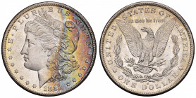 USA Dollaro 1881 S - AG (g 26,81) Bella patina iridescente, minimi hairlines
