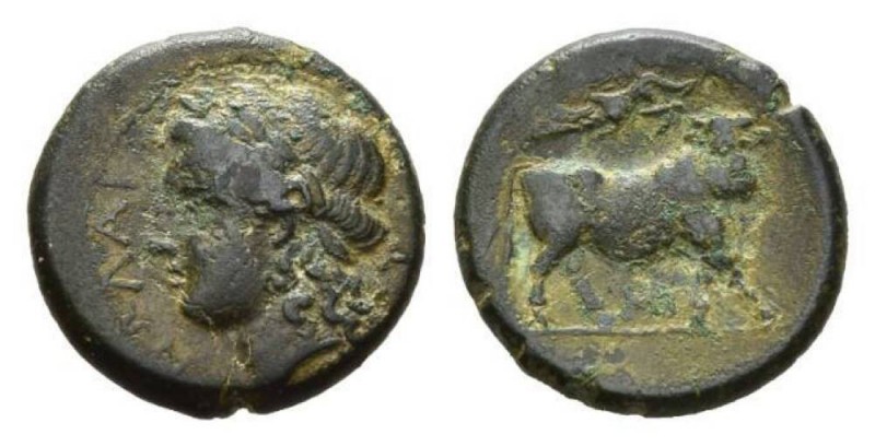 Campania, Nola Bronze circa 300-250, Æ 21mm, 7.00 g. Laureate head of Apollo l. ...