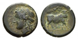 Campania, Nola Bronze circa 300-250, Æ 21mm, 7.00 g. Laureate head of Apollo l. Rev. Man-headed bull advancing r., crowned by Nike flying r. above. SN...