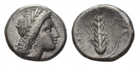 Lucania, Metapontum Nomos circa 330-290, AR 21mm, 7.49 g. Head of Demeter right, wearing barley wreath; below chin, ΔAI . Rev. Ear of barley with leaf...