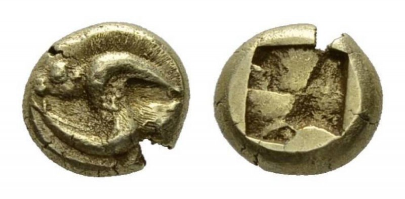 Ionia, Phocaea Hecte circa 521-478, EL 10.5mm, 2.61 g. Two swimming seals at pla...