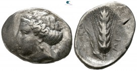 Lucania. Metapontion 400-340 BC. Nomos AR