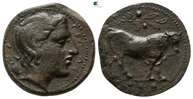 Sicily. Gela circa 420-405 BC. 
Tetras Æ

16mm., 3,38g.

ΓEΛ-AΣ, head of ri...