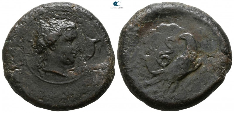 Sicily. Herbessos 334-330 BC. 
Dilitron Æ

28mm., 18,25g.

Head of Kore rig...