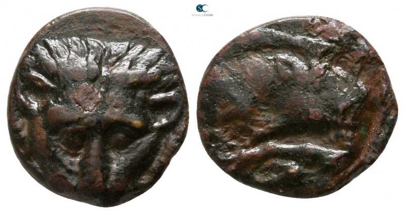 Kings of Macedon. Archelaos 36-17 BC. 
Bronze Æ

12mm., 1,87g.

Lion's scal...